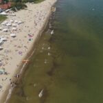 Закриті місця для купання на півночі Польщі.  Ціанобактерії в Балтійському морі отруїли річку Одра
