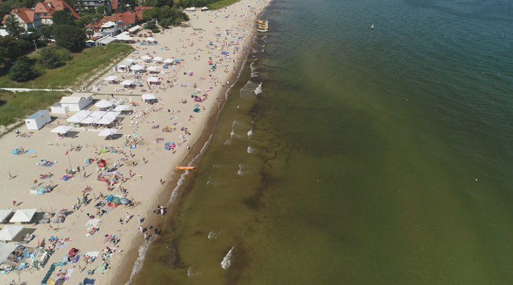 Закрытые места для купания на севере Польши.  Цианобактерии в Балтийском море отравили реку Одра