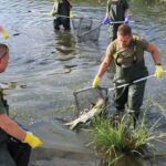 Міністр клімату та навколишнього середовища: у дослідженій рибі з річки Одра ртуті не виявлено
