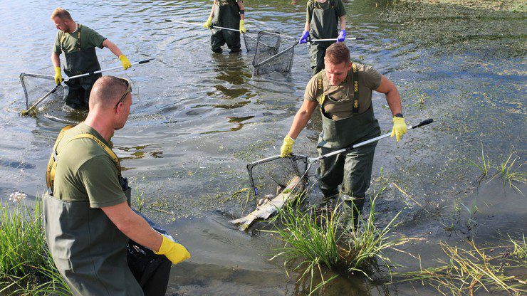 Міністр клімату та навколишнього середовища: у дослідженій рибі з річки Одра ртуті не виявлено
