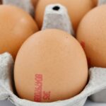 Ціни на яйця зростуть, оскільки несучок стало менше.  Експерти: Катастрофічна ситуація