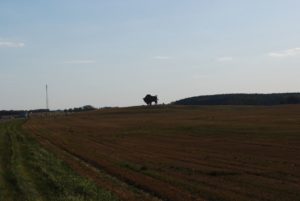 Брестська область