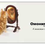 Полонія Цікава польська - Омоніми у польській мові Полонія Цікава польська - Омоніми у польській мові