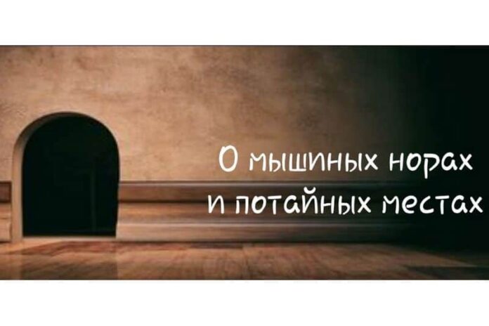 Полонія Цікава польська мова - Про мишачі нори та потаємні місця в польській мові
