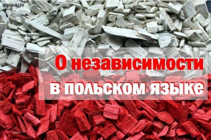 Полонія Цікава польська мова - Про незалежність у польській мові Полонія Цікава польська мова - Про незалежність у польській мові
