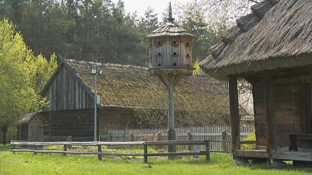 Вони представляють туристичний ваучер. Кілька сотень субсидій Zlotys